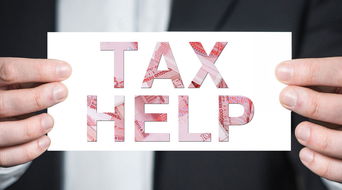 軟件開發(fā)中的退稅 概念、流程與策略解析