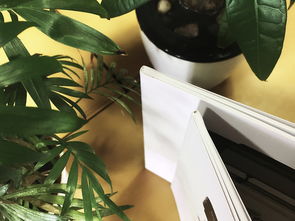 成都百鉑文化 專(zhuān)業(yè)畫(huà)冊(cè)制作與產(chǎn)品宣傳冊(cè)定做服務(wù)